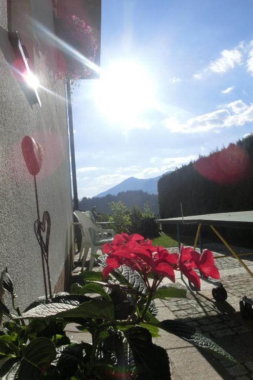 Haus Vlcek - 3
