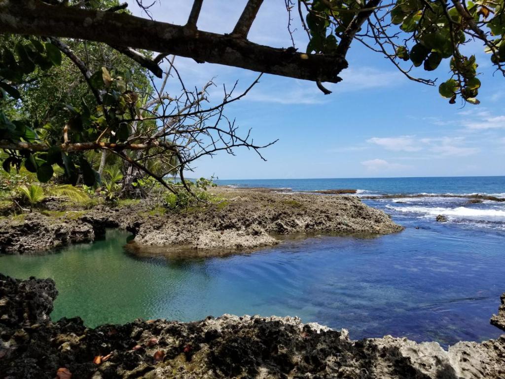 Piscina Natural on the Sea photo