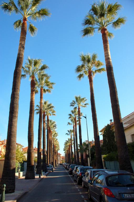 周辺観光スポット