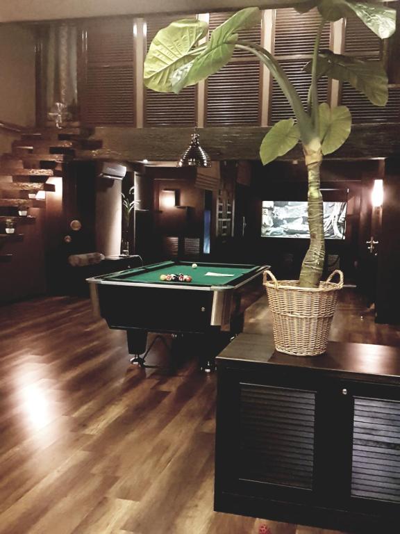 Miracle Suite photo