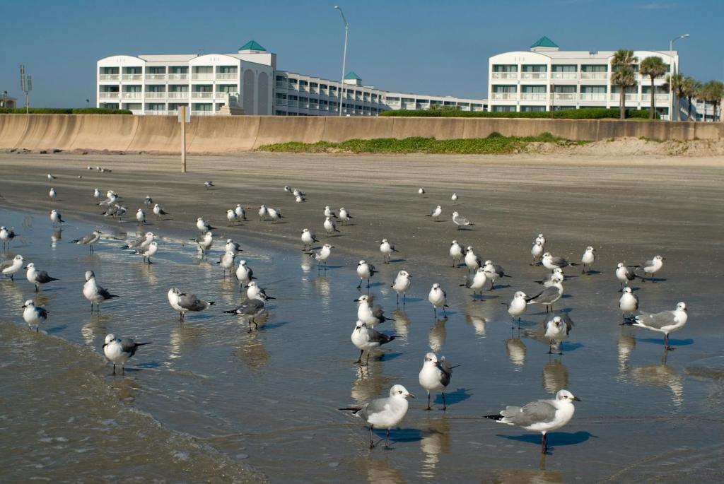 Casa Del Mar Beachfront Suites photo