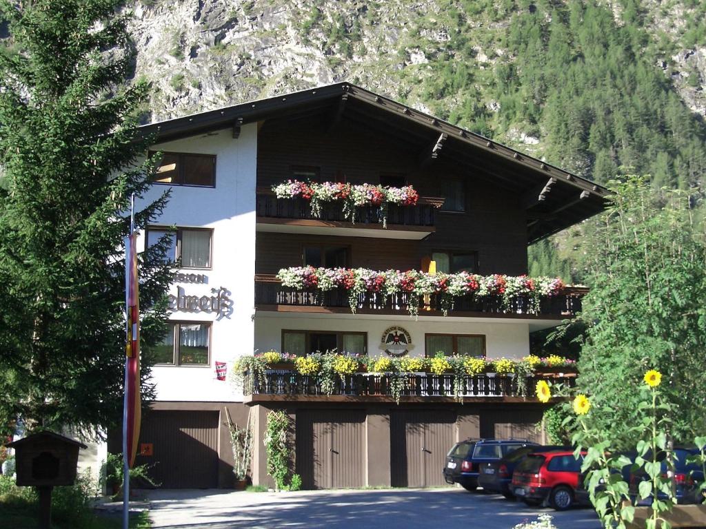 Pension und Apartment Edelweiß - 3