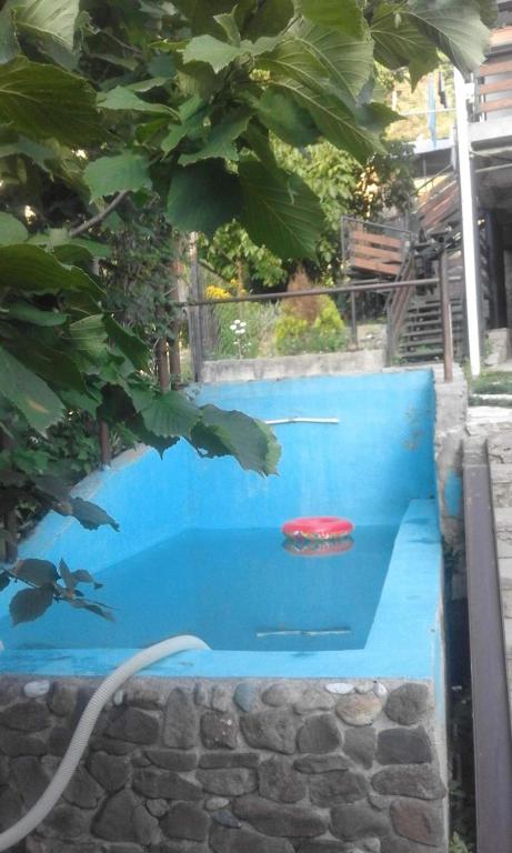 Guest House Veronika photo