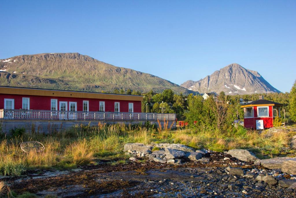 Vikran Vacation: Sea fishing and Northern Lights photo