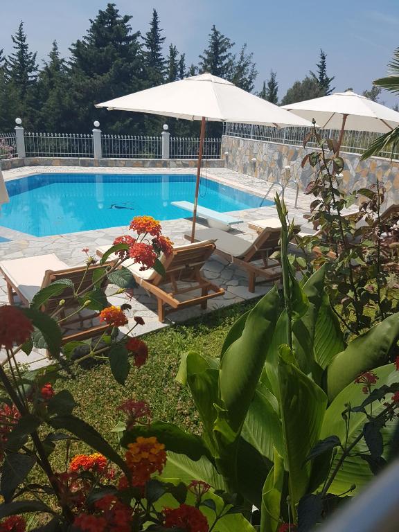 Perivolos Apartments photo
