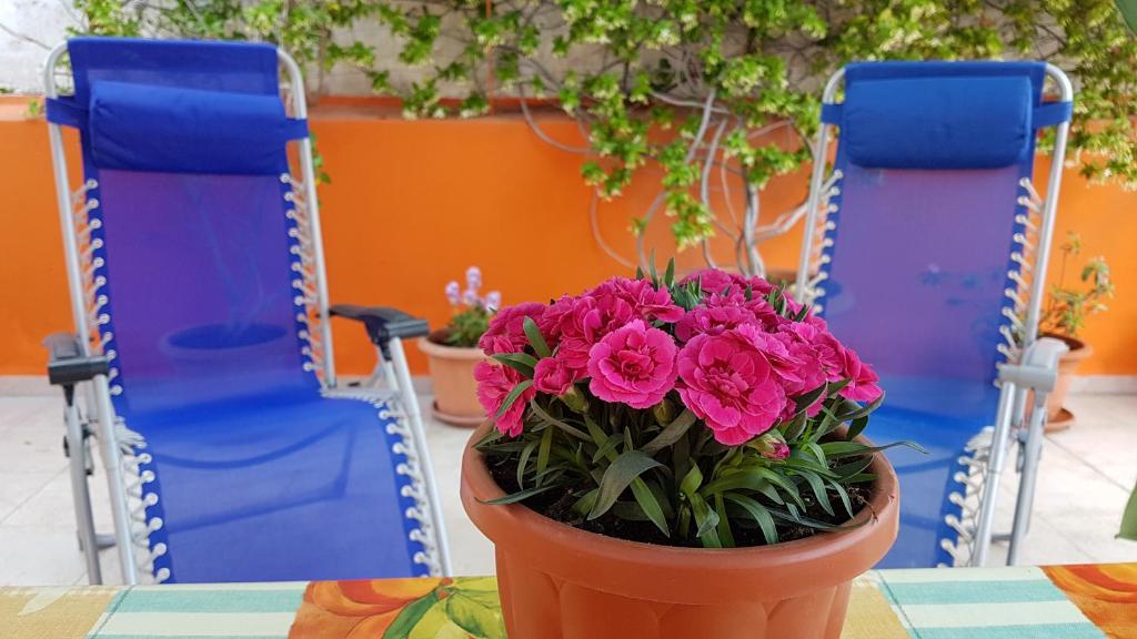 Casa Celeste - 2