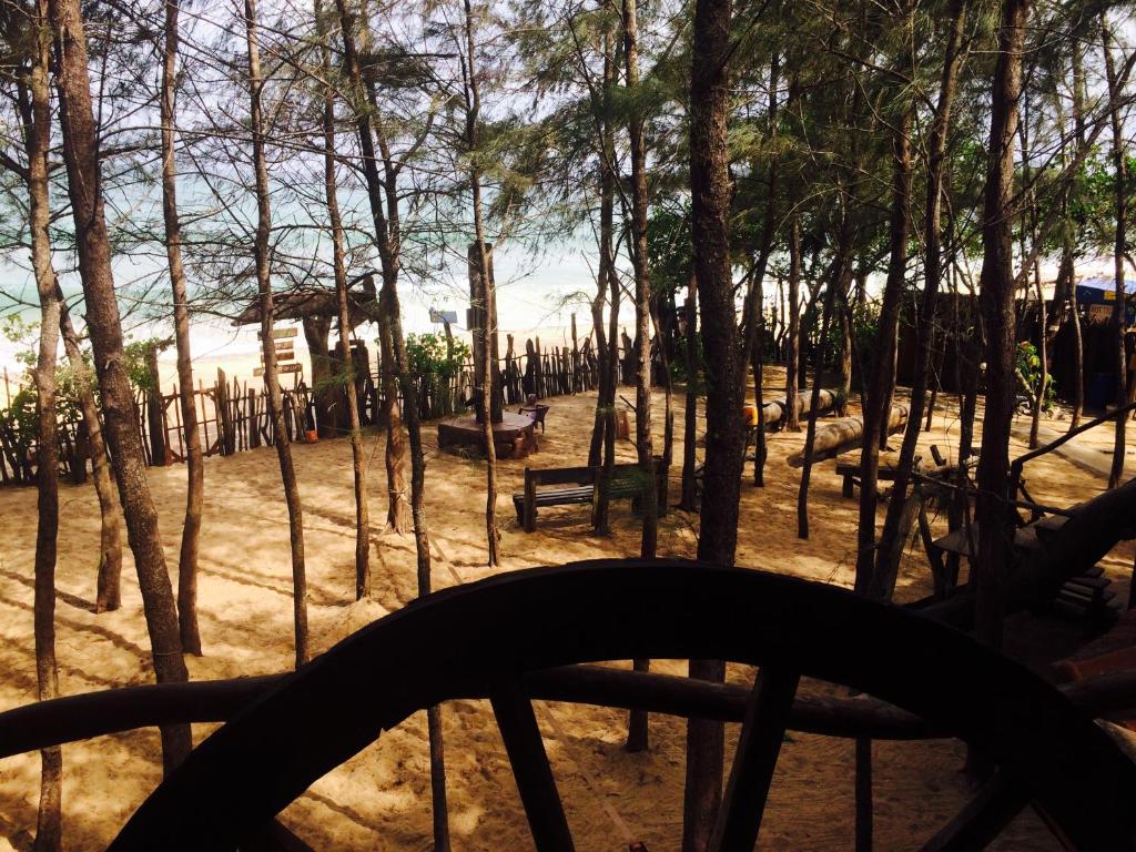 View