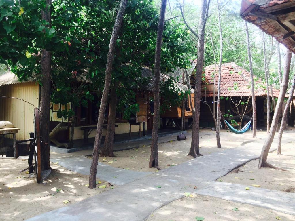 Surrounding environment