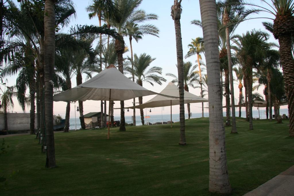 Beach, Sea Of Galilee 2Bdrm Apartments in Tiberias - דירות 2 חדרי שינה וסלון עם נוף לכנרת בטבריה in Tiberias