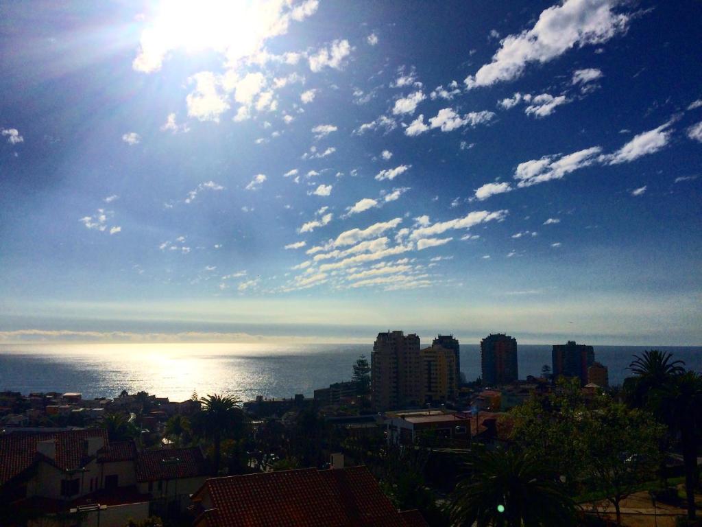 Dpto Viña del Mar - 2