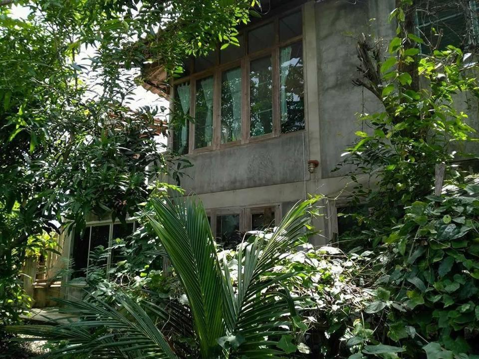 Exterior view