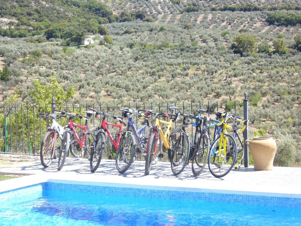 スポーツ/アクティビティ