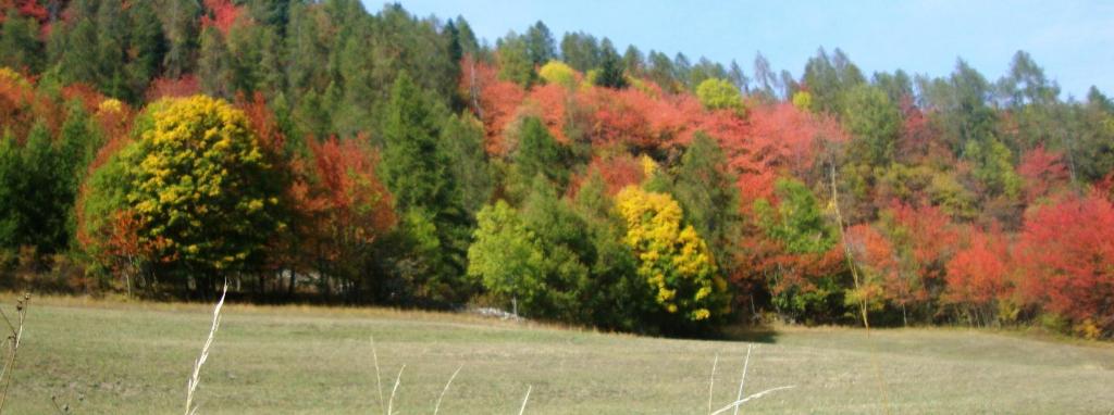 Bed & Breakfast Barba Bertu, Frassino