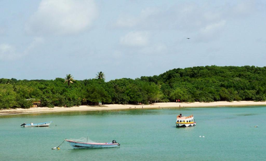 Surrounding environment