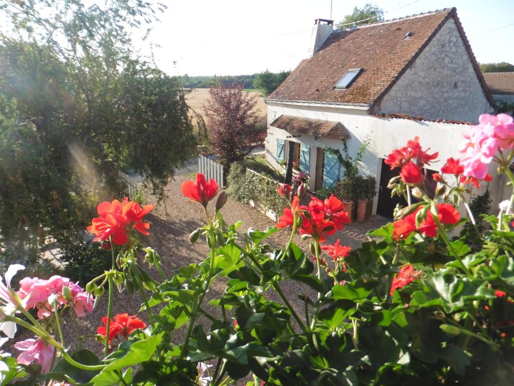 La Petite Maison de Sue