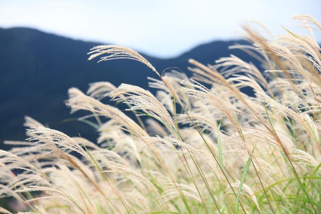 Hakone Fuga (Adult Only) photo