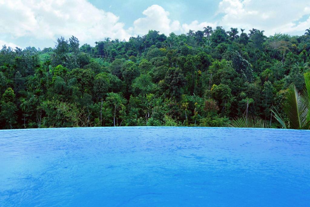 Vista Del Lago photo