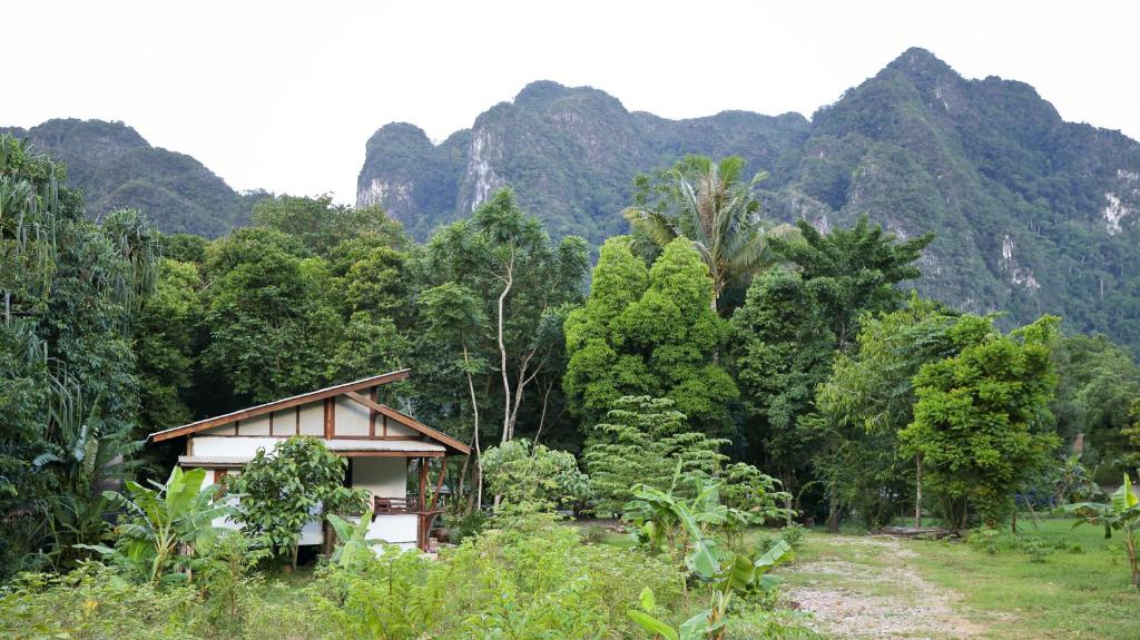 Khaosok Homestay Resort photo
