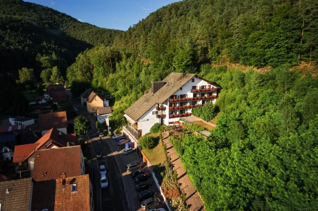 Hotel Die Kleine Blume, hotel in Erfweiler