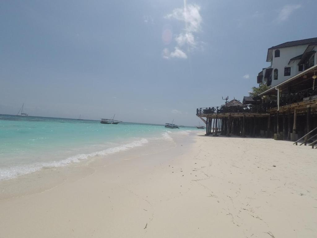 Habibis Bottle House photo