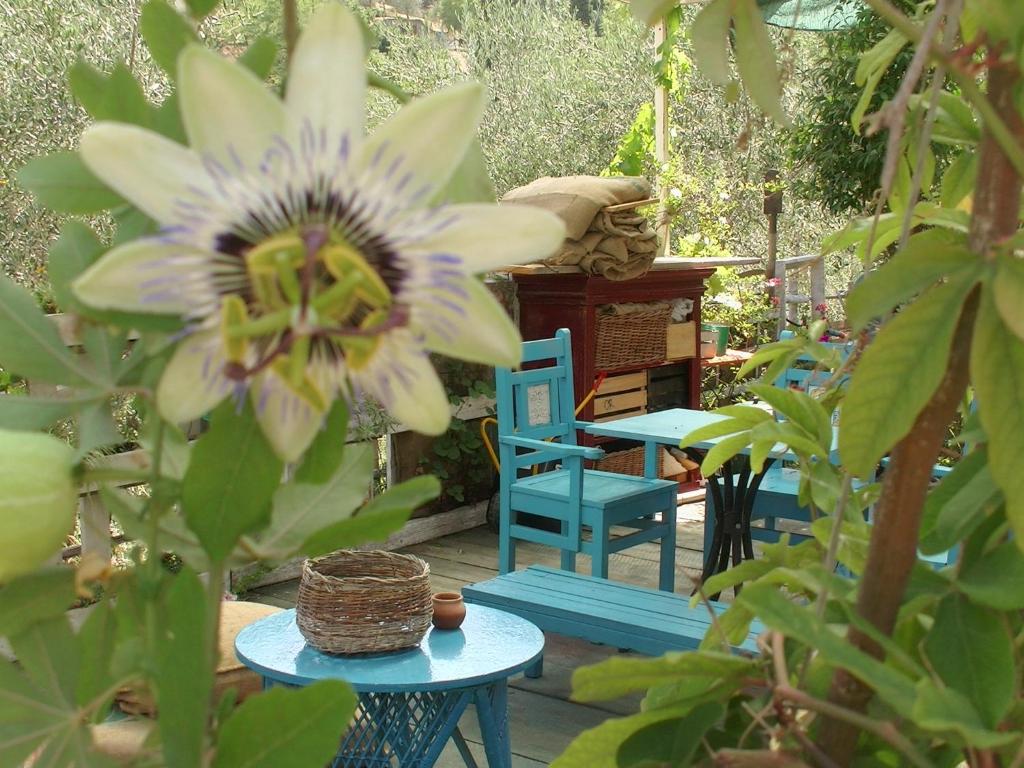 casa al colle - 5