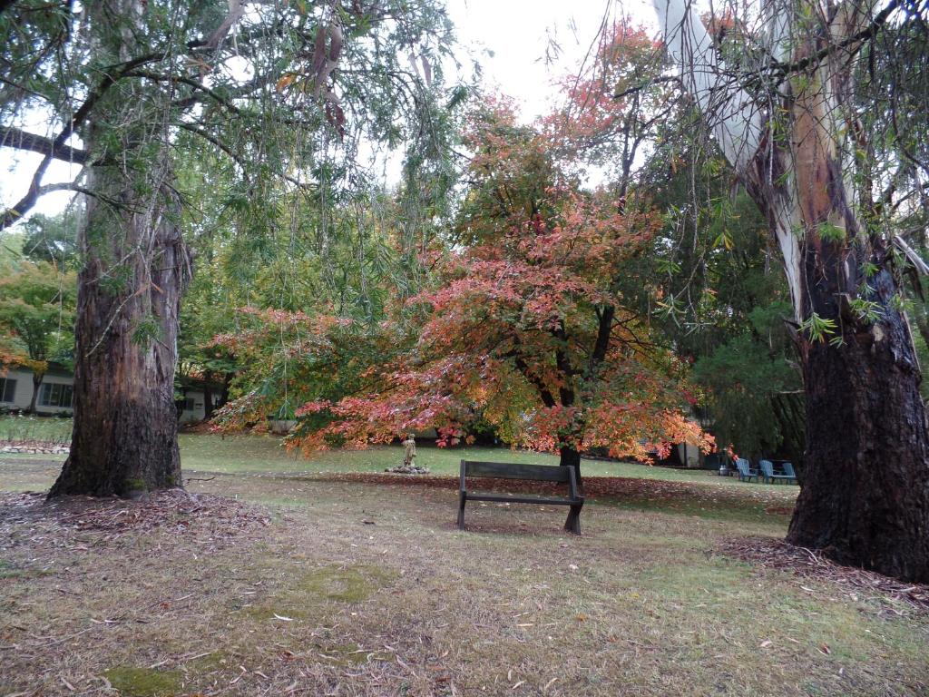 Alpine Park Riverside Cottages photo