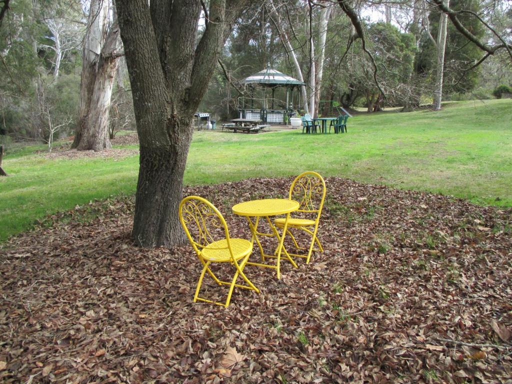 Alpine Park Riverside Cottages photo