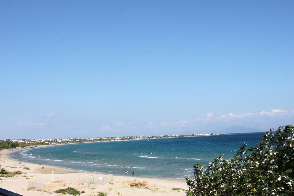 PentHouse & Apartments By The Sea Near Airport photo