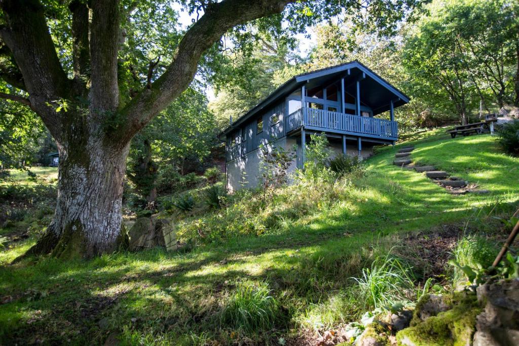 Loch Monzievaird Chalets photo 5