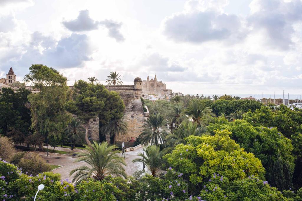 Hotel Hostal Cuba Palma de Mallorca - photo 1