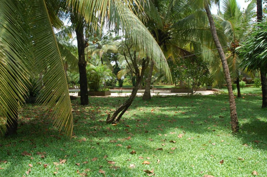 Surrounding environment