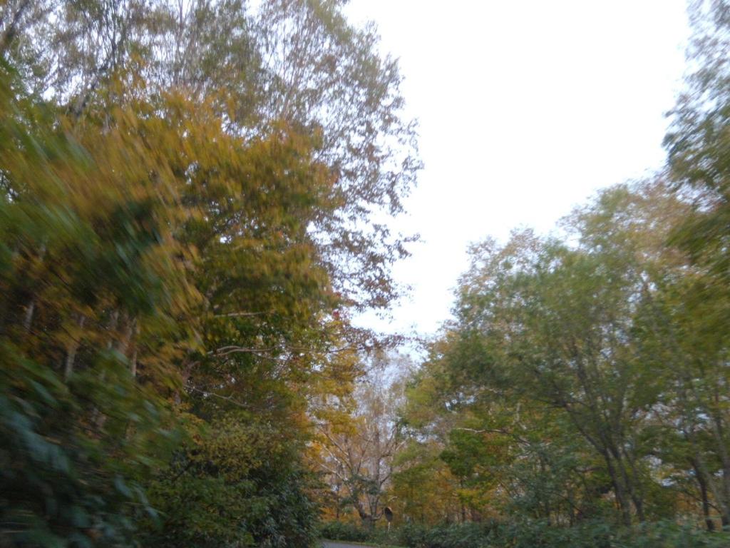 Villa Ichinose photo