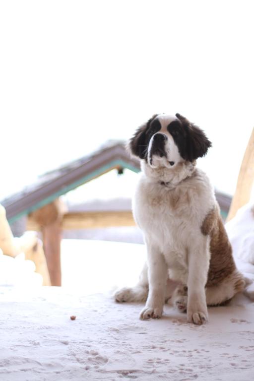 편의 시설/서비스