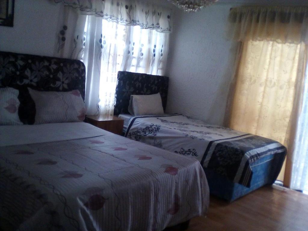 Guest House Macauly photo