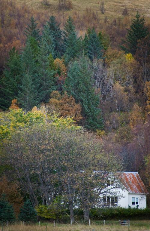 Uxahryggur photo