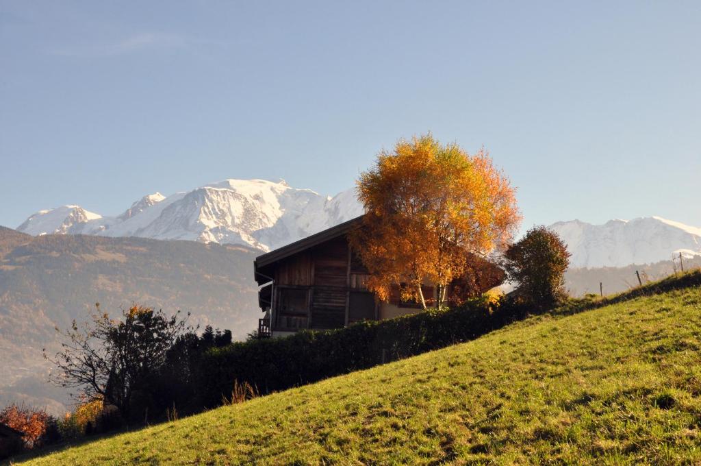 Chalet du MONT-BLANC - 3