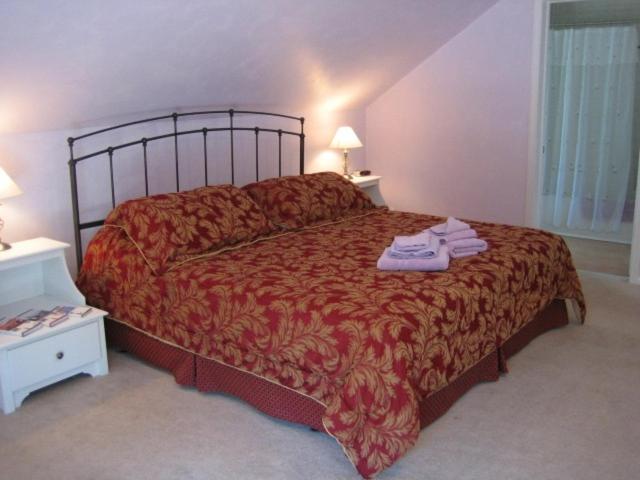 Ahoy Inn Guesthouse photo