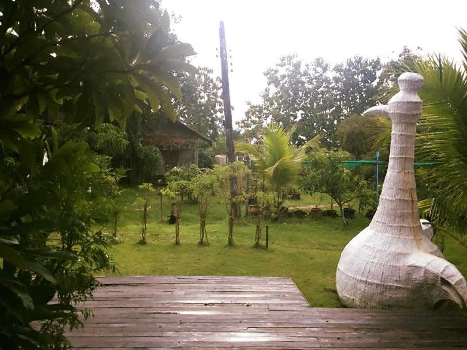 Вид