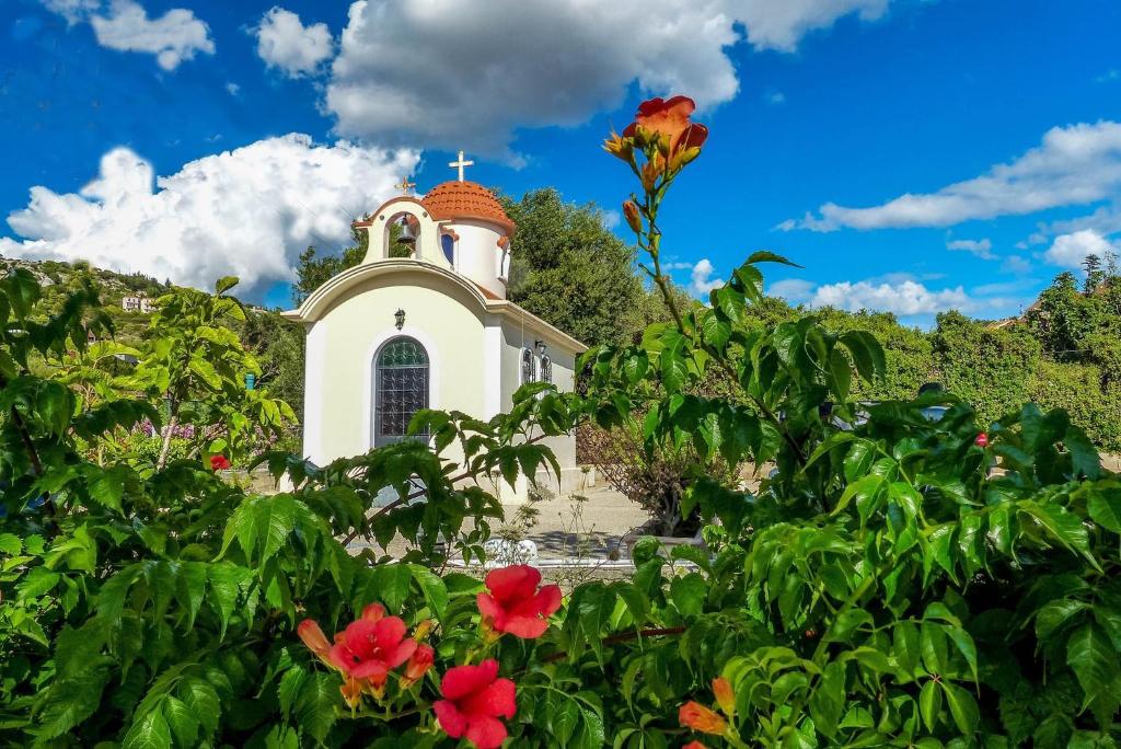 Mediterranee — Attractions in the area in Lassi, Ionian Islands