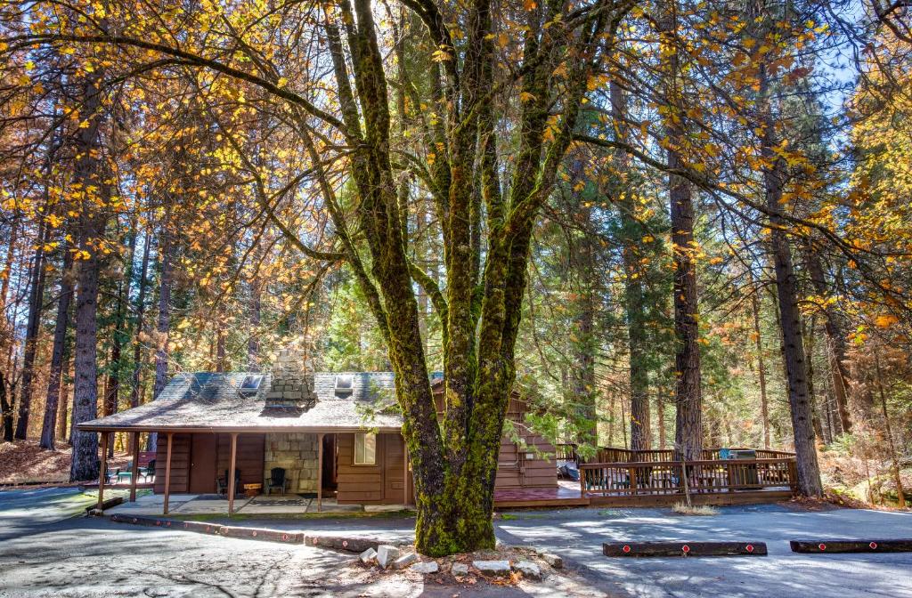 50R Soots-Me, Wawona