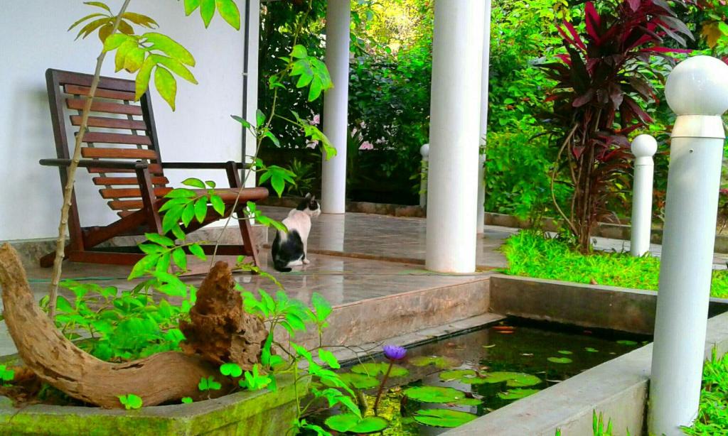 River Retreat Sigiriya photo