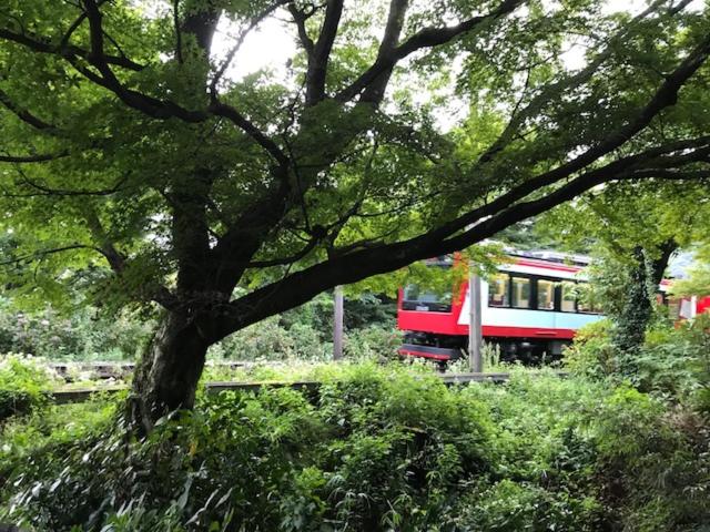 Nearby attraction