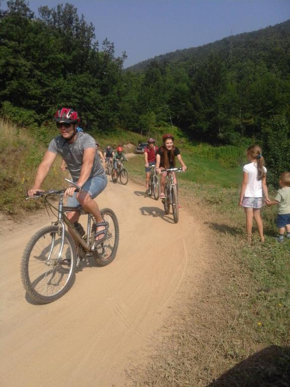 Sports and activities