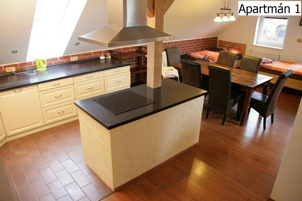 Apartmany Horni Plana 전경