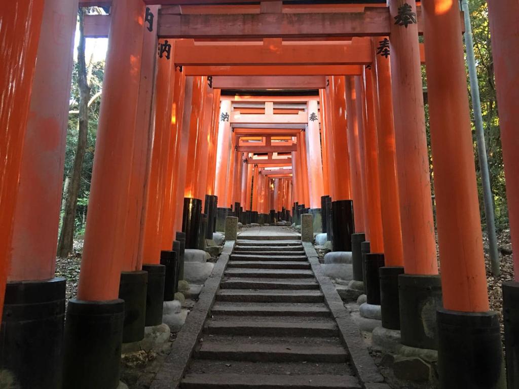 Ảnh 5