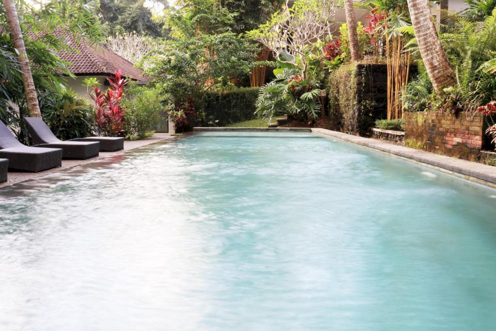 The Bali Shanti photo