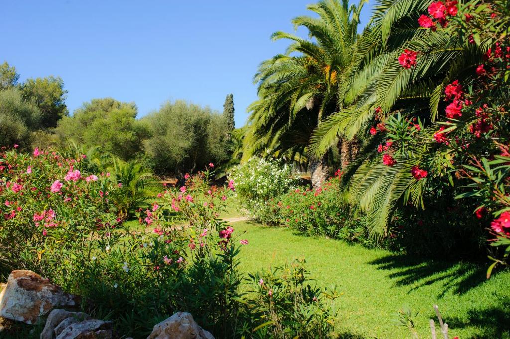 Hotel Palia Puerto del Sol 3 Sup — Attractions in the area in Cala d´Or, Balearic Islands