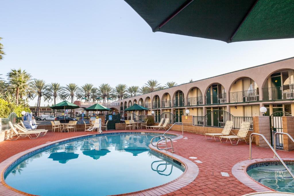 スイミングプール