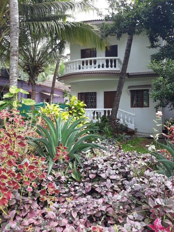 Agnelo's Holiday Homes photo