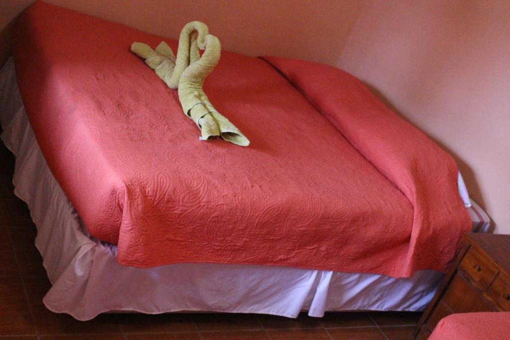 Hostal Tuyasto photo